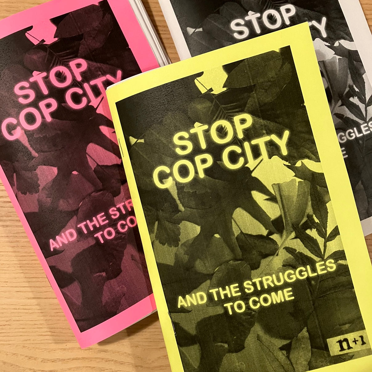 Stop Cop City and the Struggles to Come