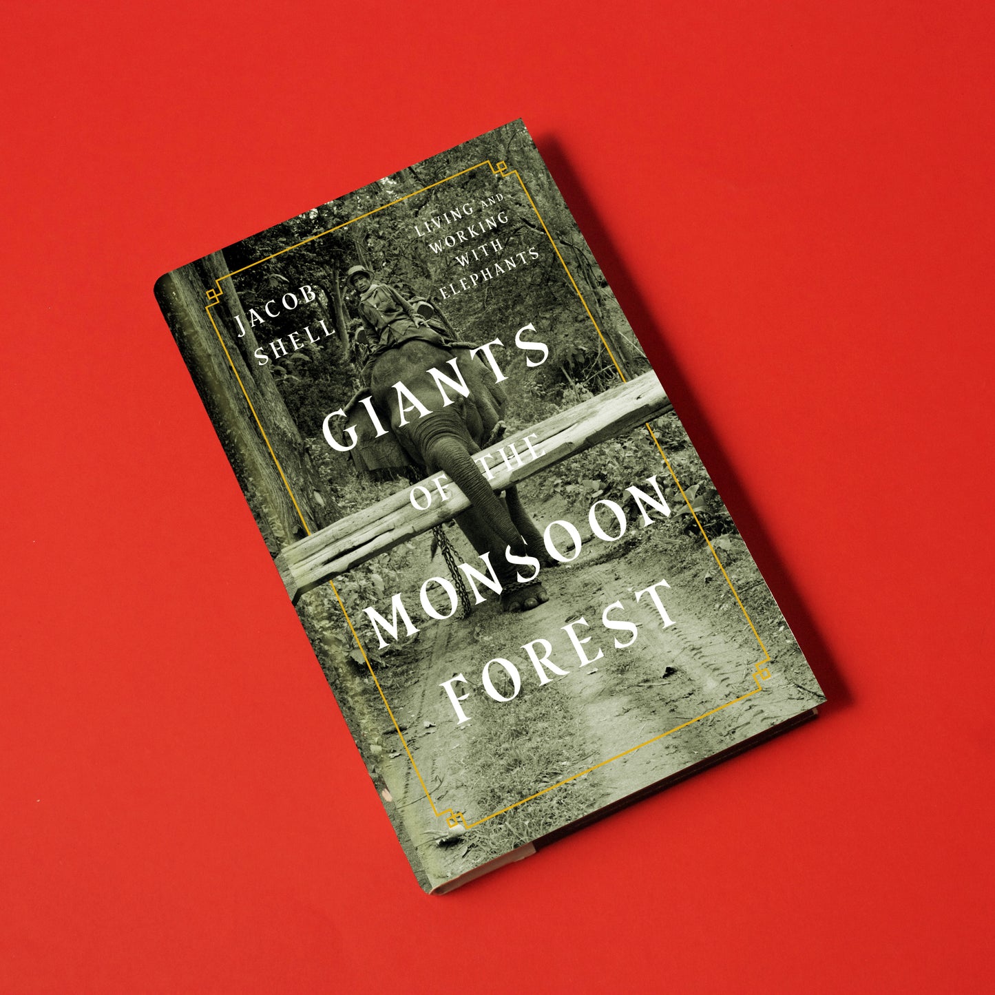 Giants of the Monsoon Forest, by Jacob Shell